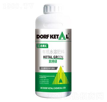 �P�ؾG-����P��