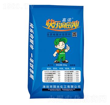 ����ֲ��ˮ�ܷ���-���Z-�(y��ng)�⻯��