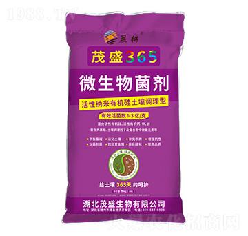 ��ɫ���b΢�������-ïʢ365-ïʢ����