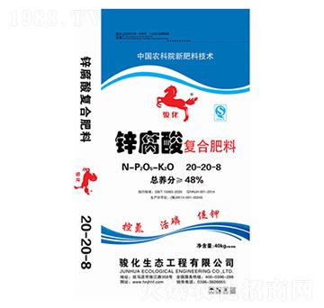 �\����ͺϷ���20-20-8-�E��