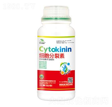 ��(x��)��������-��|ֲ��-ʥ��ʘI(y��)