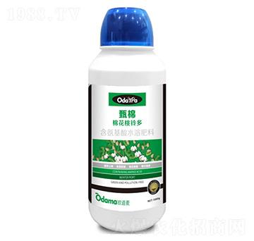 �޻���⏶�-����-�W����