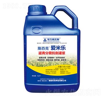 ������Y�������{-ʩ�ٿˡ����ט�(l��)-����������