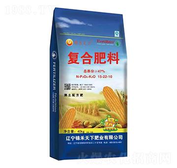 復合肥料15-22-10-大慶大化