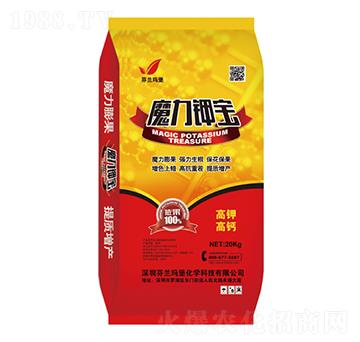 ��⛸��}-ħ���Ҍ�-���m����