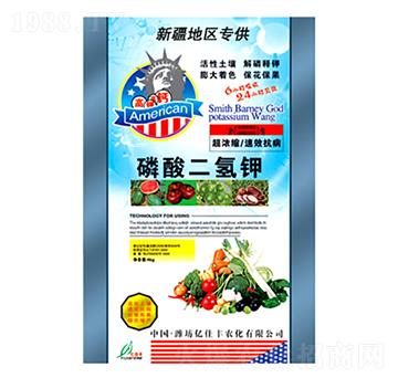 ��������-�|���S