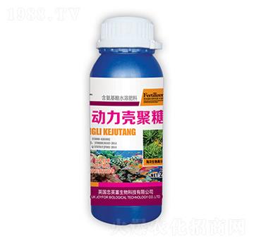 ����������-�|���S