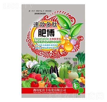 �ʸ�-�|���S