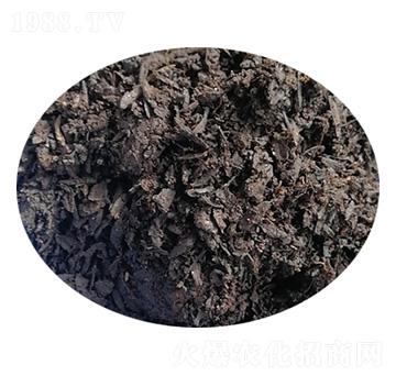 ��̿Ҭ����H-����