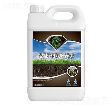 �@�������~ï��-��ţ�r(n��ng)�I(y��)