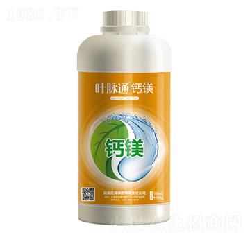 �~�}ͨ���}�V-���컯�r�Y