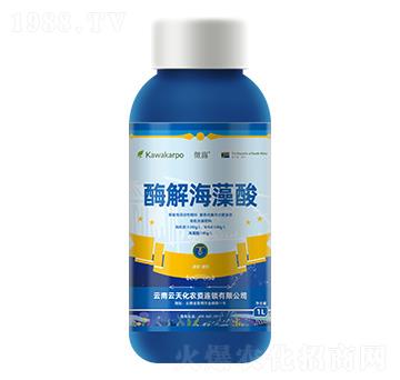 ƿ�b΢¶-ø�⺣����-���컯�r(n��ng)�Y