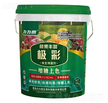 �O��΢�������-�����S��-����������