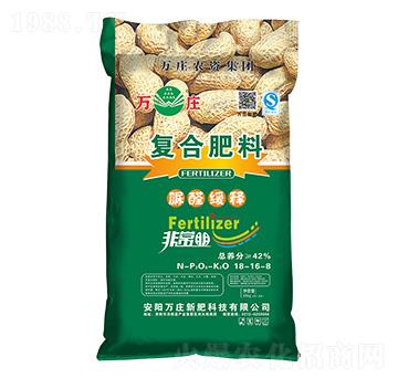 ��ȩ��ጏͺϷ���18-16-8-�ǳ���-�f�f