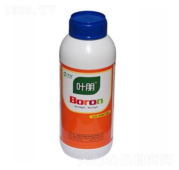 �ЙC(j��)���-�~��-ïʩ����