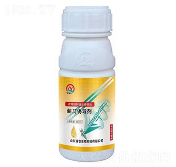 �E�R�T��(d��o)��-���r(n��ng)