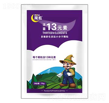 ���13Ԫ��-ħ������