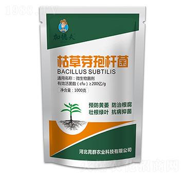 �ݲ�ѿ�ߗU��-�ӵ·�-��Ⱥ�r�I(y��)