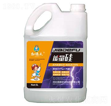 ������-�ӵ·�-��Ⱥ�r(n��ng)�I(y��)