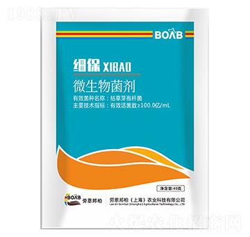 ����΢�������-�ڶ����