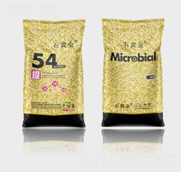 ʯ�S��΢�������54��