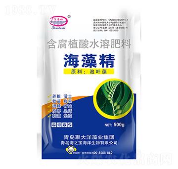 ���徫-���(d��ng)-��֮��