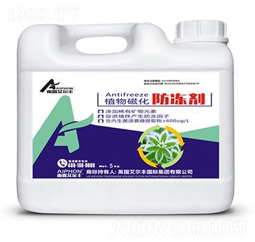 ֲ��Ż�������-��¶�����S