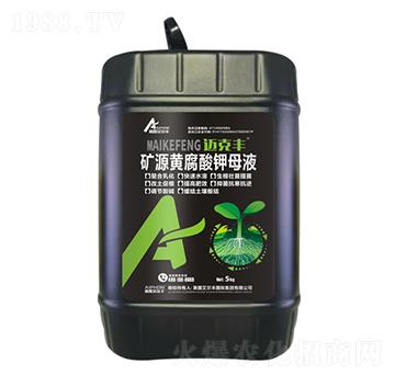 �VԴ�S�����ĸҺ-�~���S-��¶�����S