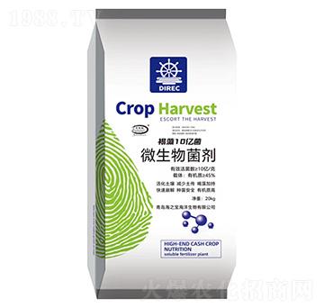 ����10�|��΢�������-��֮��