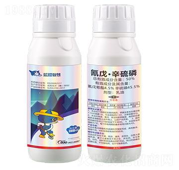 50%���졤����������-�{؈�ǻ�