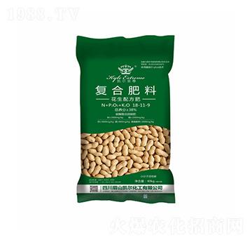 �����䷽�ͺϷ���18-11-19-�P���ѷʘI(y��)