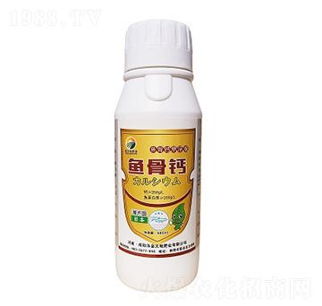 �~���}-���طʘI(y��)