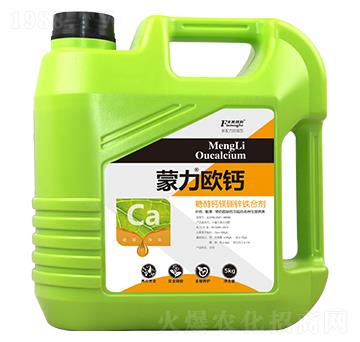 �����W�}-�͝��r(n��ng)�I(y��)