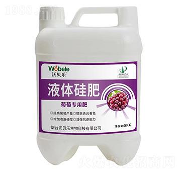 ���ь�(zhu��n)��Һ�w���-��ؐ��(l��)