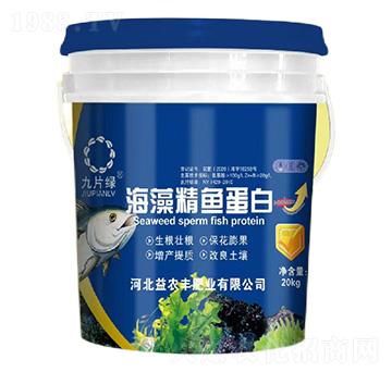 ���徫�~(y��)����-��Ƭ�G-���r(n��ng)�S�ʘI(y��)