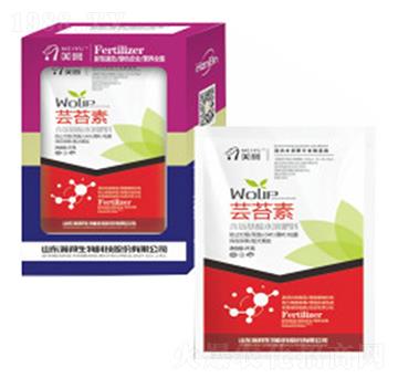 �|̦��-嫰�����