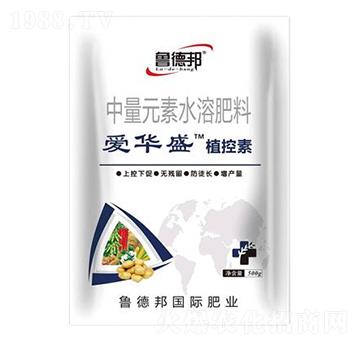 中量元素水溶肥料-愛(ài)華盛·植控素-魯?shù)掳? />
</div>
</div>
<style type=