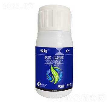 36%뿾�������-�O�N�������棩-����¡����