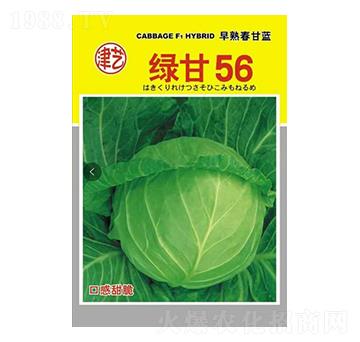 ���{(l��n)�N��-�G��56-���S�r(n��ng)�I(y��)