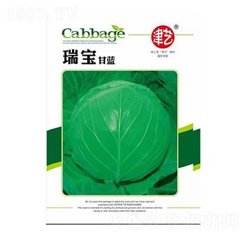 ���{�N��-�������{-���S�r(n��ng)�I(y��)