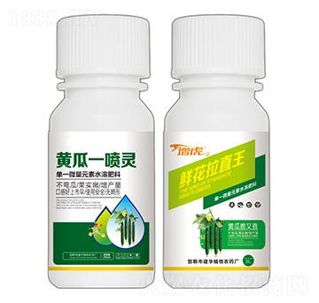 黃瓜一噴靈+鮮花拉直王-增虎-建華農(nóng)業(yè)
