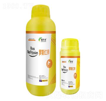 �_˹�t�-���A��