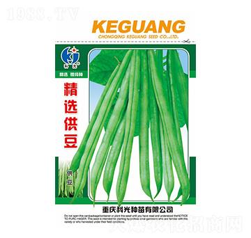 ���x����-�ƹ�N��