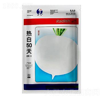 ���50���}��-�ƹ�N��