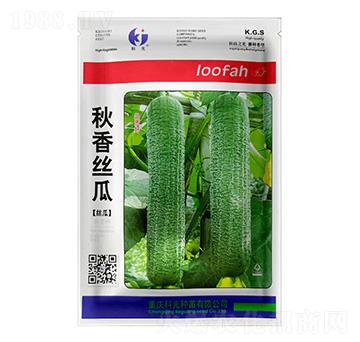 ����z��-�ƹ�N��