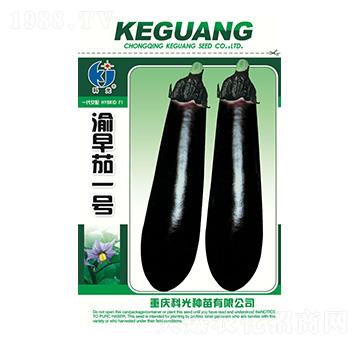 ������1̖-�ƹ�N��