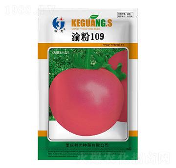 ���109-�ƹ�N��