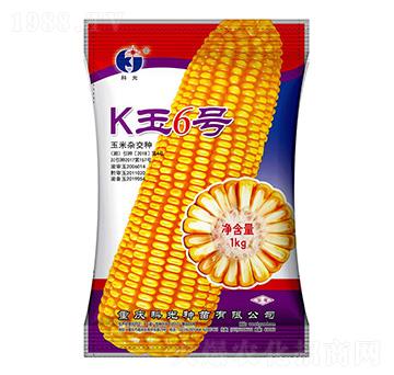 K��6̖-�ƹ�N��