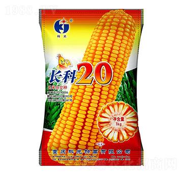 �L��20-�ƹ�N��