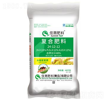 �N�����׌��ҏͺϷ���24-12-12-ס�̷���